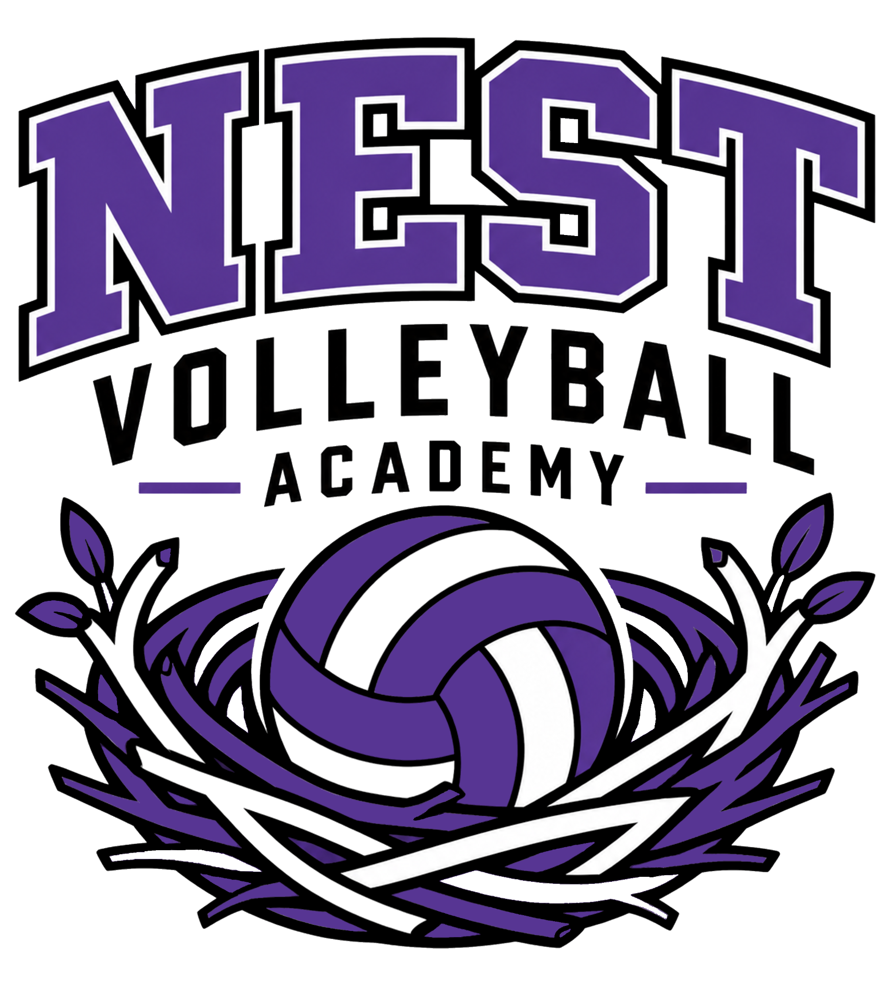 Nest Volleyball Academy